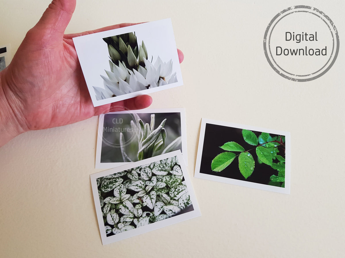 Printable Dollhouse Miniature Wall Art – CLD Miniatures