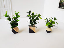 Load image into Gallery viewer, Set of 3 Miniature Faux Plants in Black Dipped Wooden Pots