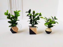 Load image into Gallery viewer, Set of 3 Miniature Faux Plants in Black Dipped Wooden Pots