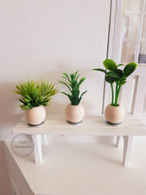 Load image into Gallery viewer, Set of 3 Miniature Mixed Faux Plants in Wooden Pots