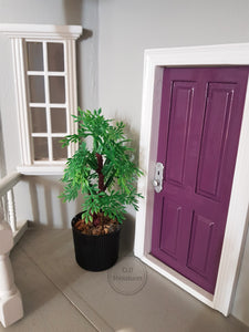 Large Plant in a Black Pot