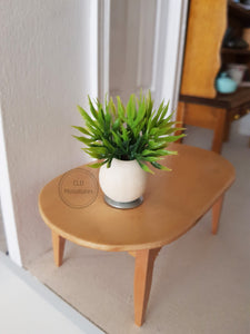 Small Plant in a Round Wooden Pot