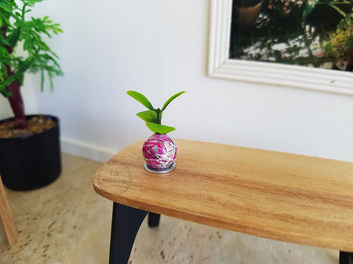 Tiny Plant in a Pink and Silver Beaded Pot