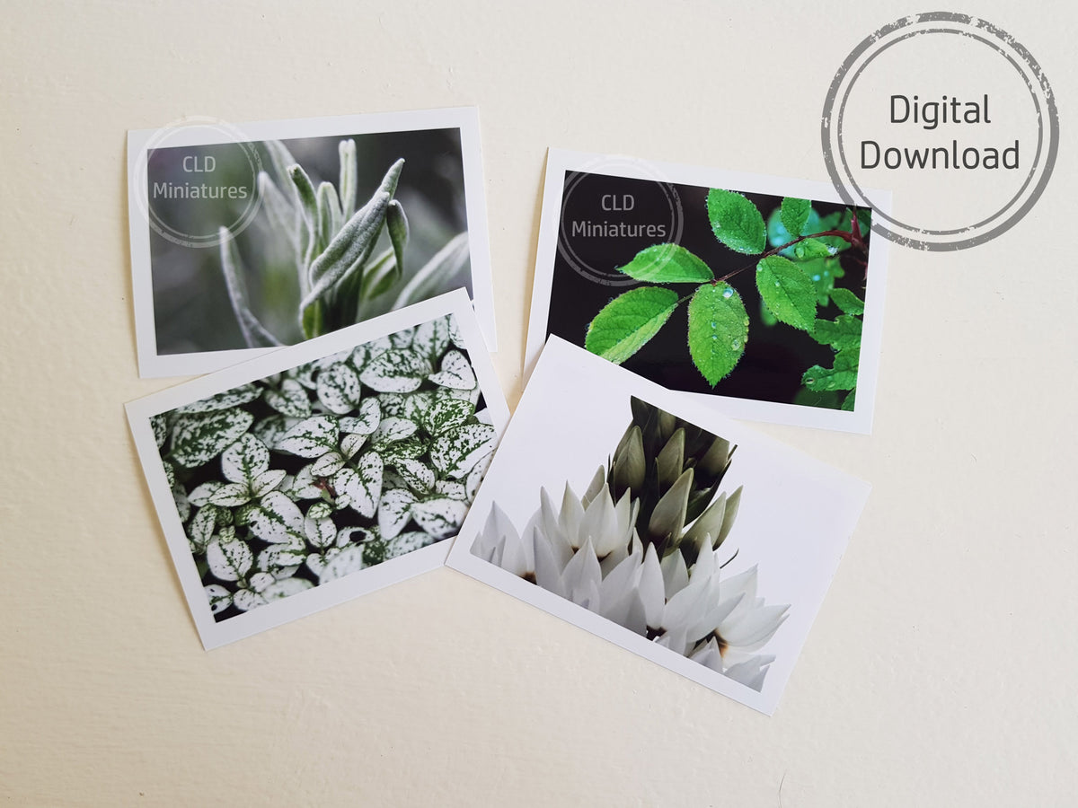 Printable Dollhouse Miniature Wall Art – CLD Miniatures
